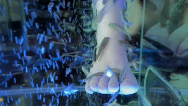 Barefoot Fish love your feet