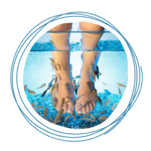 Barefoot Fish Fish Spa Barefoot Fish Fish Spa