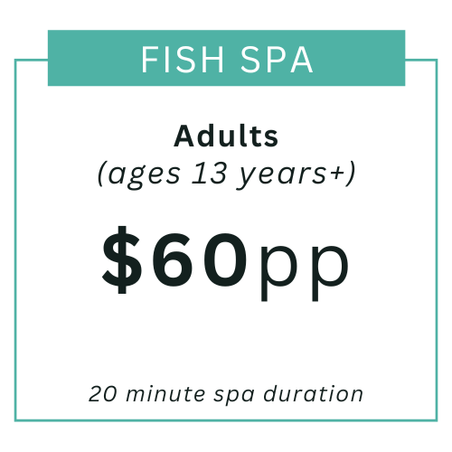 Adult - fish spa