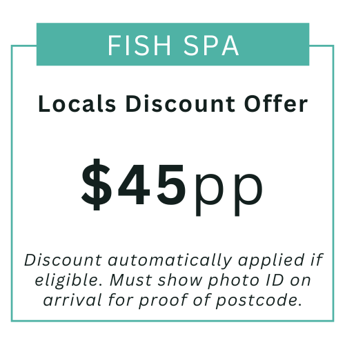 Locals - fish spa